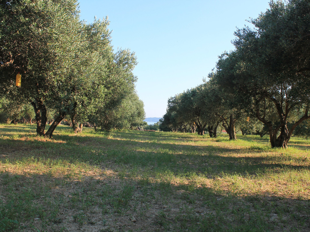 OPG Pensa Family Farm-Kastel Luksic必去景点