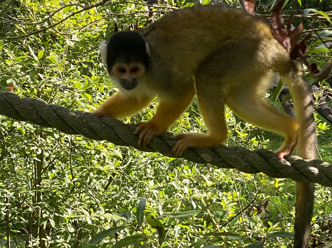 Ree Park Safari-埃伯尔措夫特必去景点