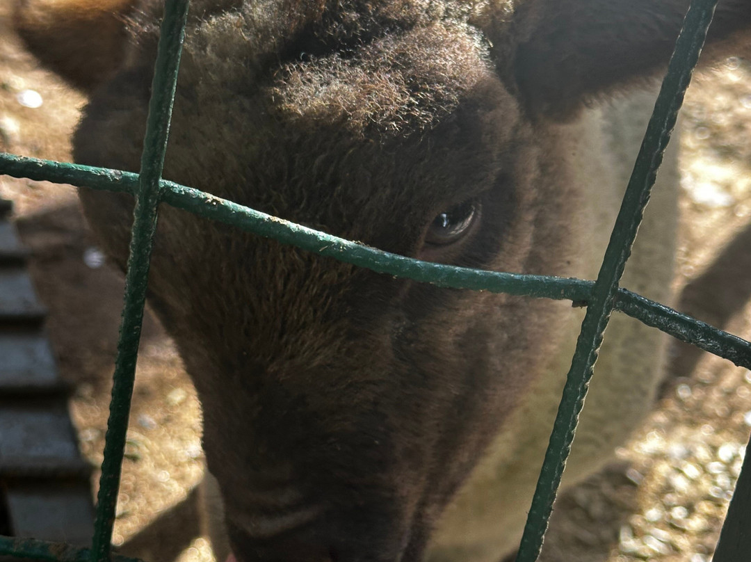 Parque Granjaventura-圣地亚哥必去景点