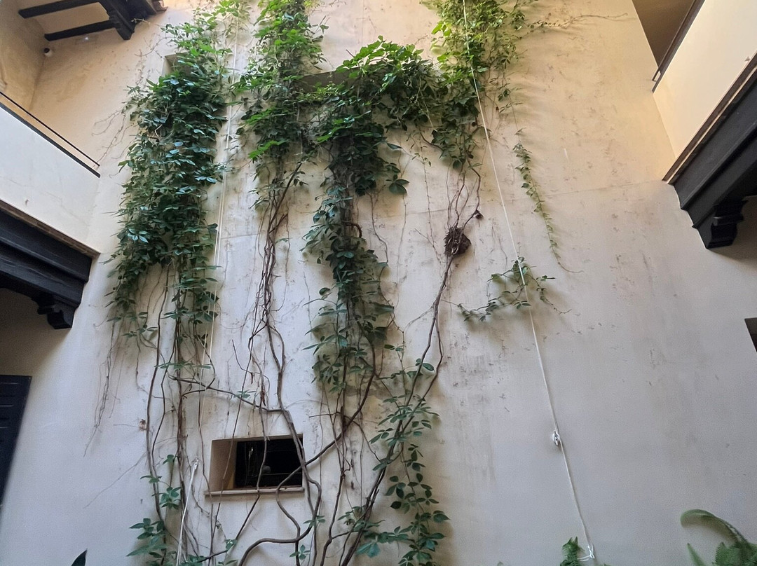 Revello de Toro Museum-马拉加必去景点