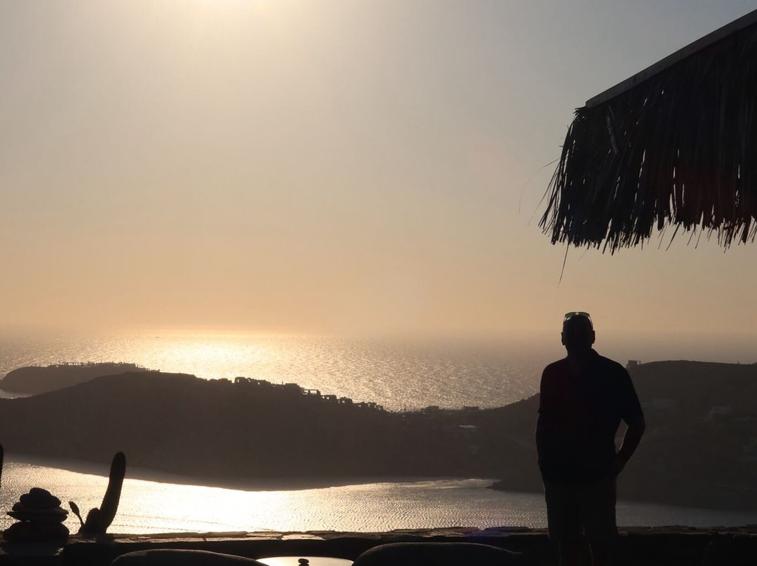 Olga's Pension主图