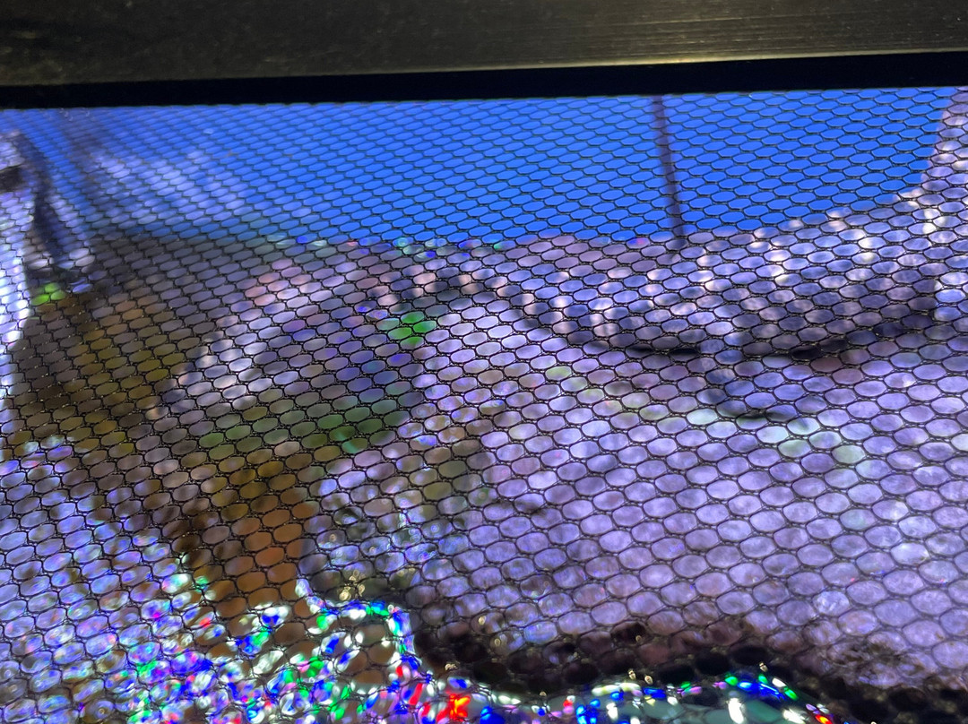 Living Shores Aquarium-Glen必去景点