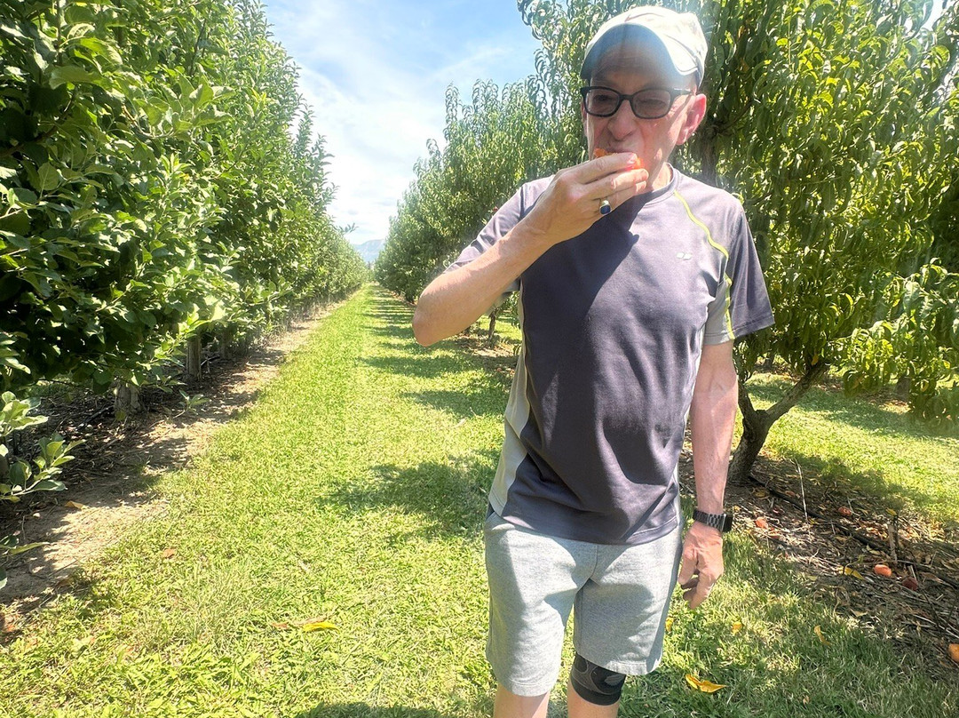 Orchard Valley Farms & Market-Paonia必去景点