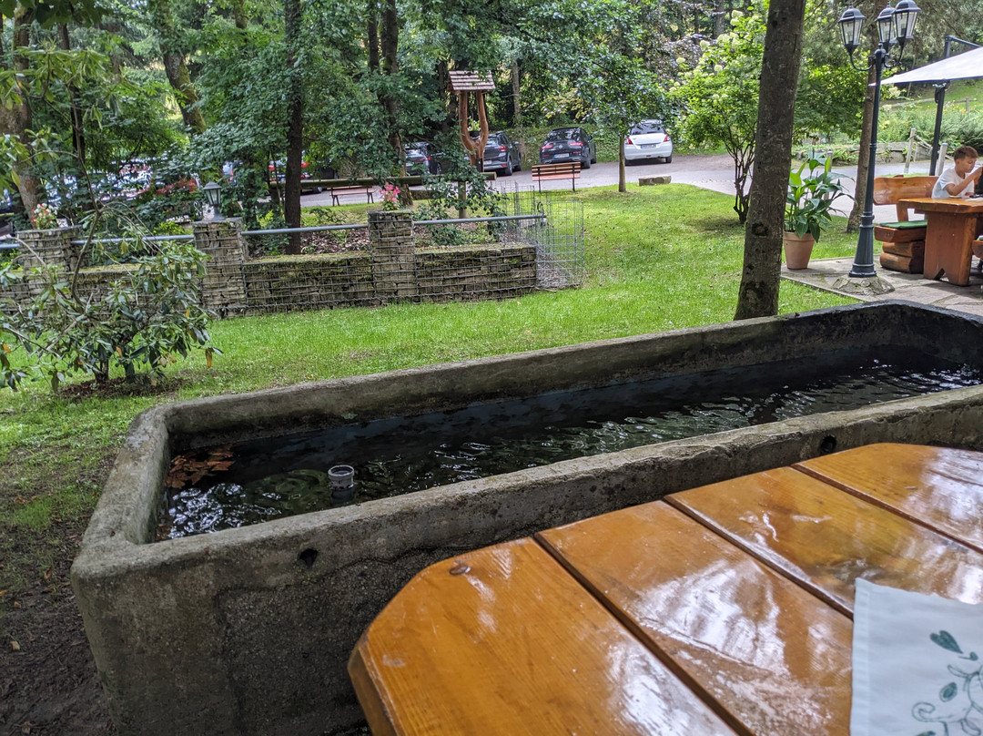 Waldgasthof & Hotel Am Sauwald主图