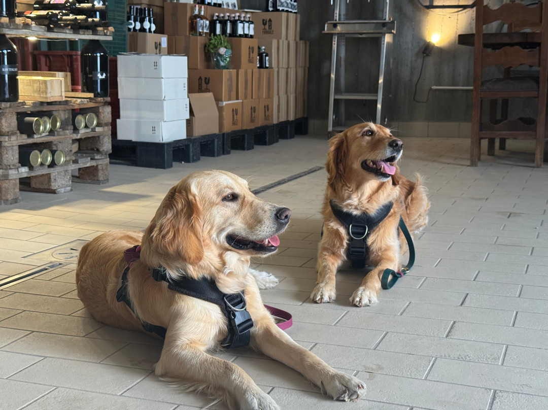 Podere Della Bruciata Winery-蒙特普尔恰诺必去景点