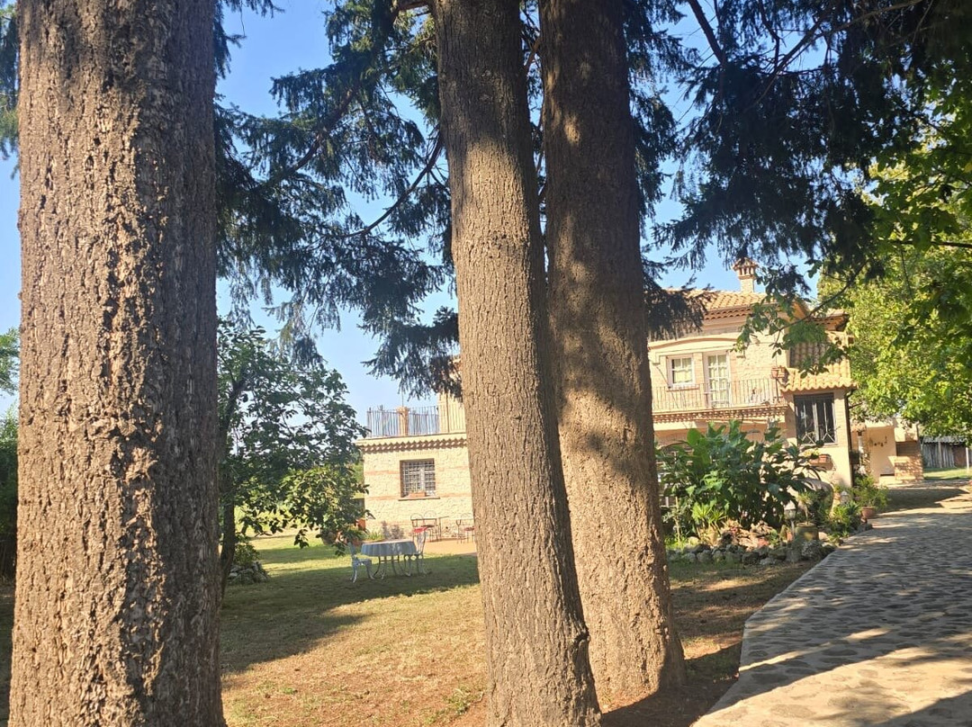 Agriturismo Don Carlo主图