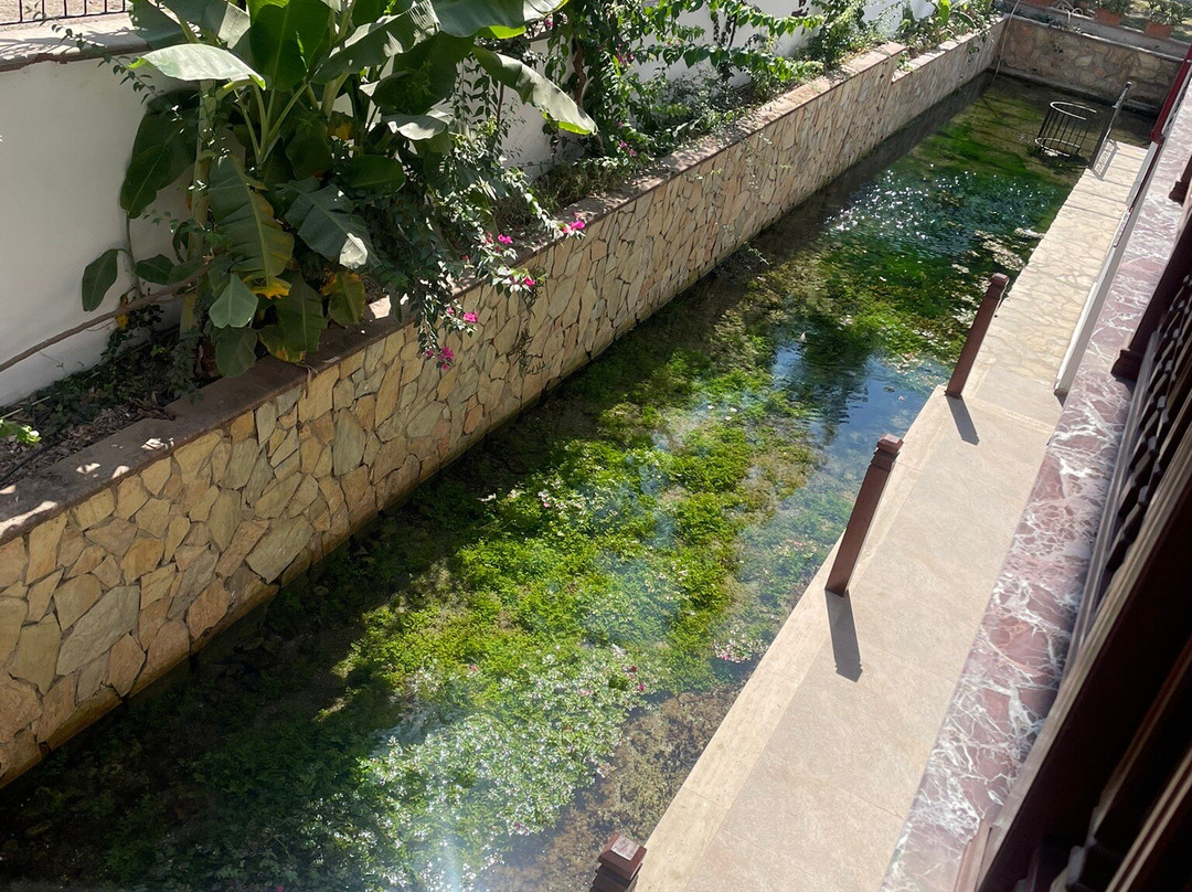 Elif Hanim Hotel & Spa主图