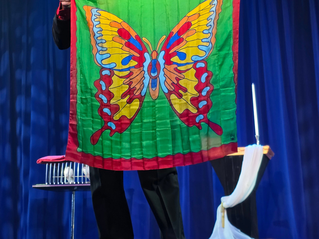 Rick Wilcox Magic Theater-威斯康星峡谷必去景点