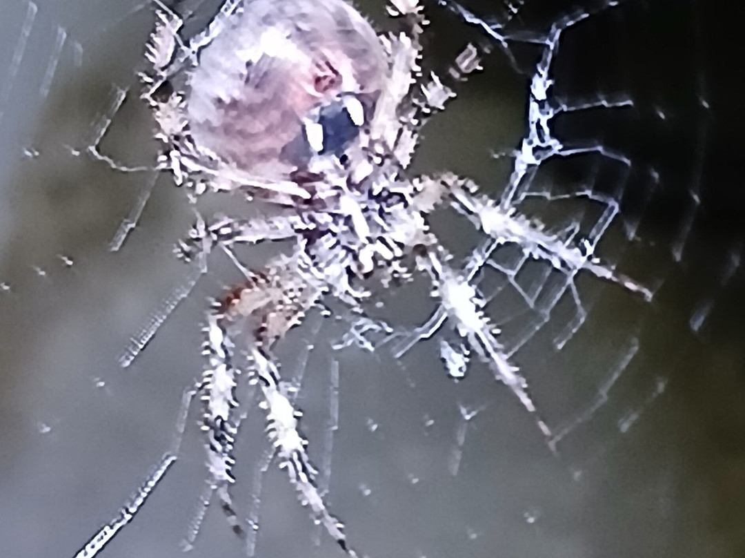 Chevys Gaming Lounge-Kewanee必去景点