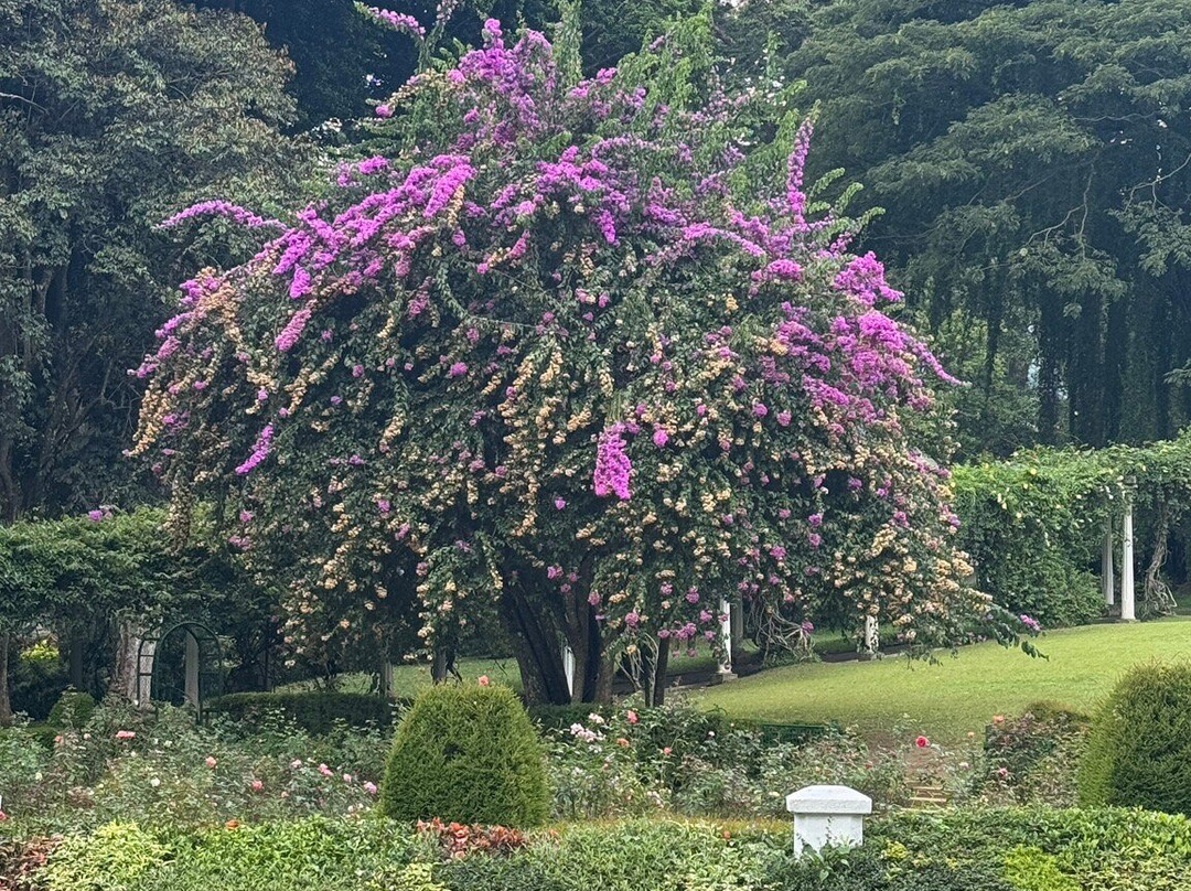 Janaka’s Travel Ways-佩拉德尼亚必去景点