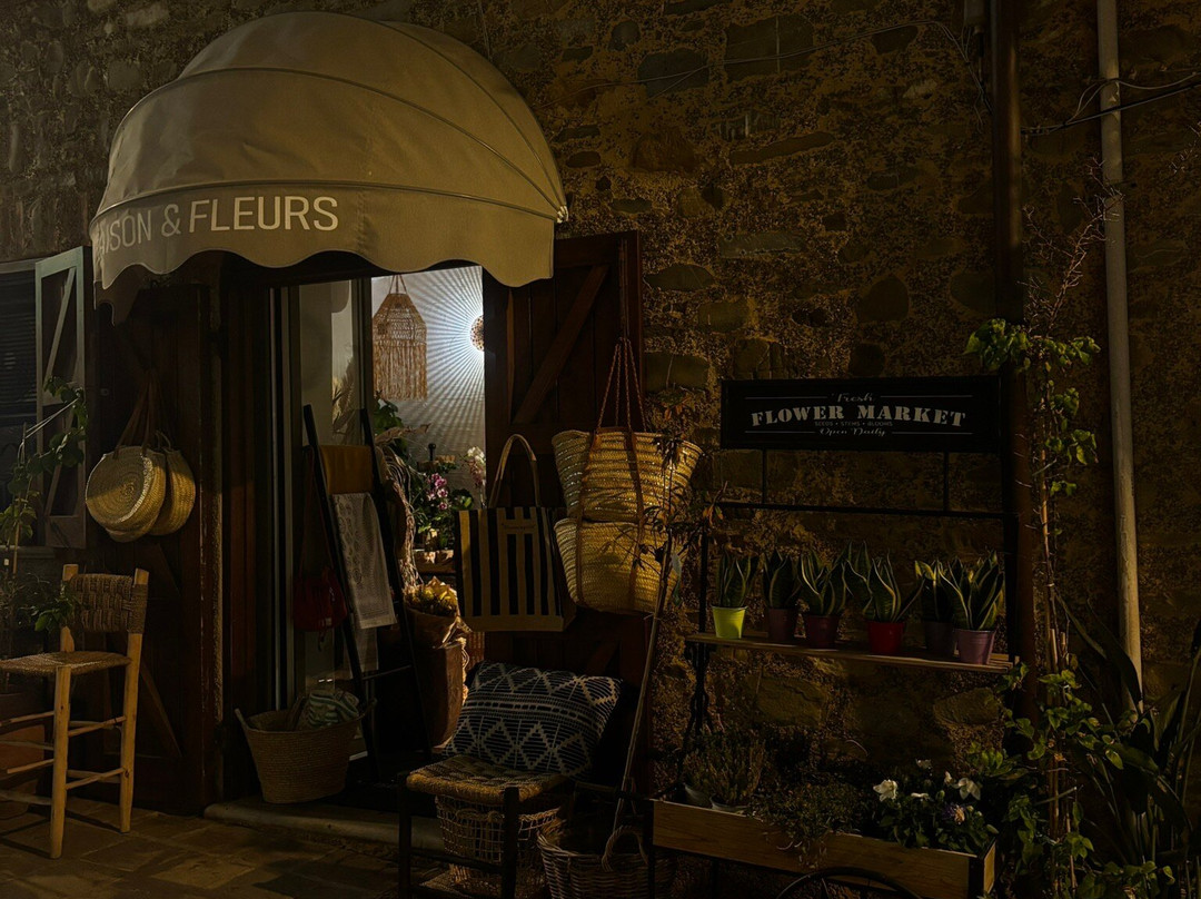 Acciaroli Port-Acciaroli必去景点