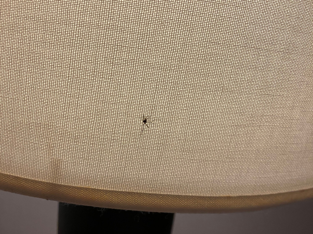 马尼拉新世界酒店主图