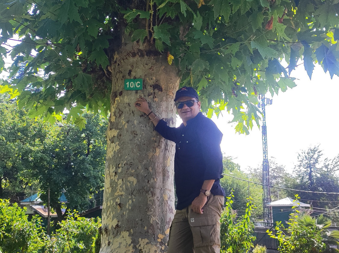 Chashme Shahi Gardens-斯利那加必去景点