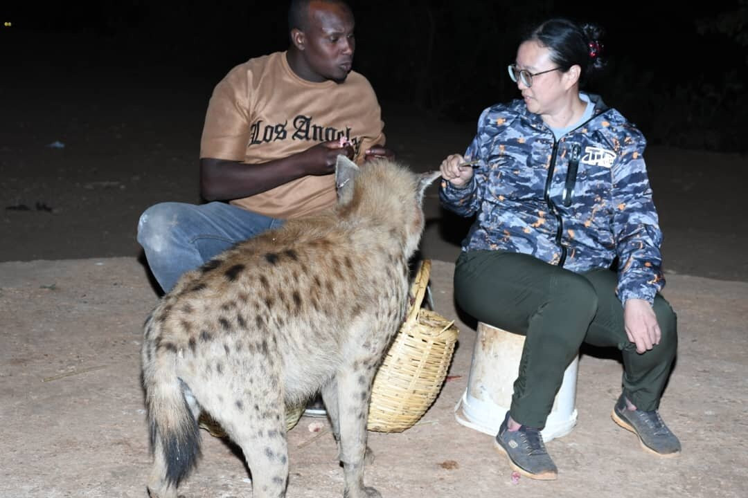 Edom Harar Tours & Car Rentals-哈勒尔必去景点