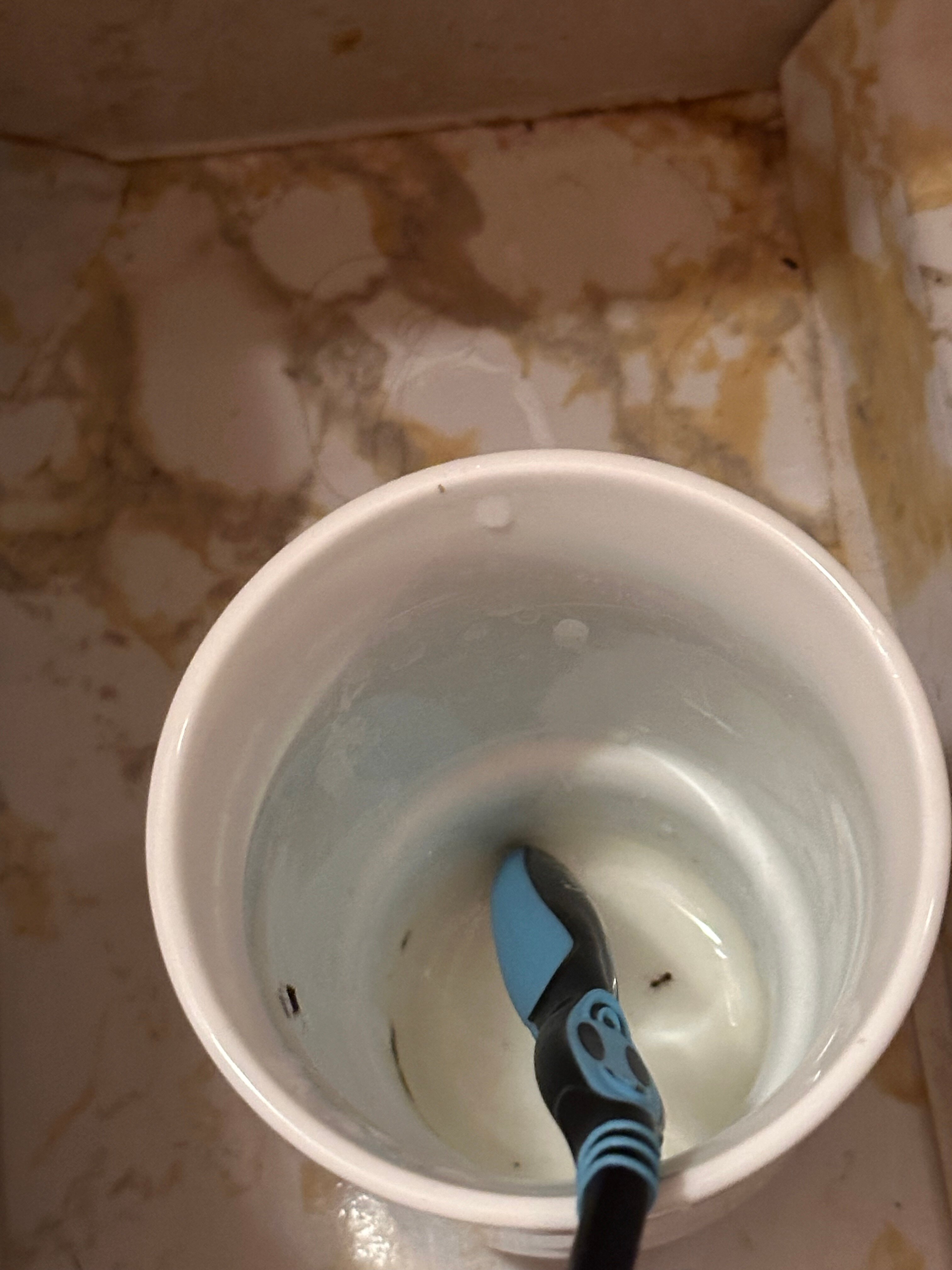 Ataviros Hotel-官方