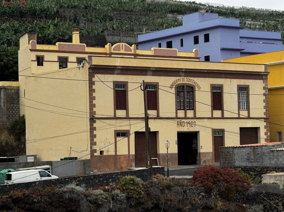 Destilerias Aldea SL-San Andres y Sauces必去景点