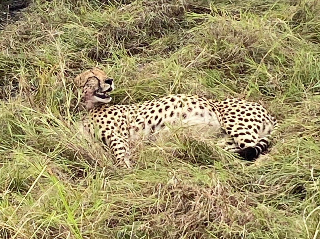 Voluntours Adventures-Kikuyu必去景点