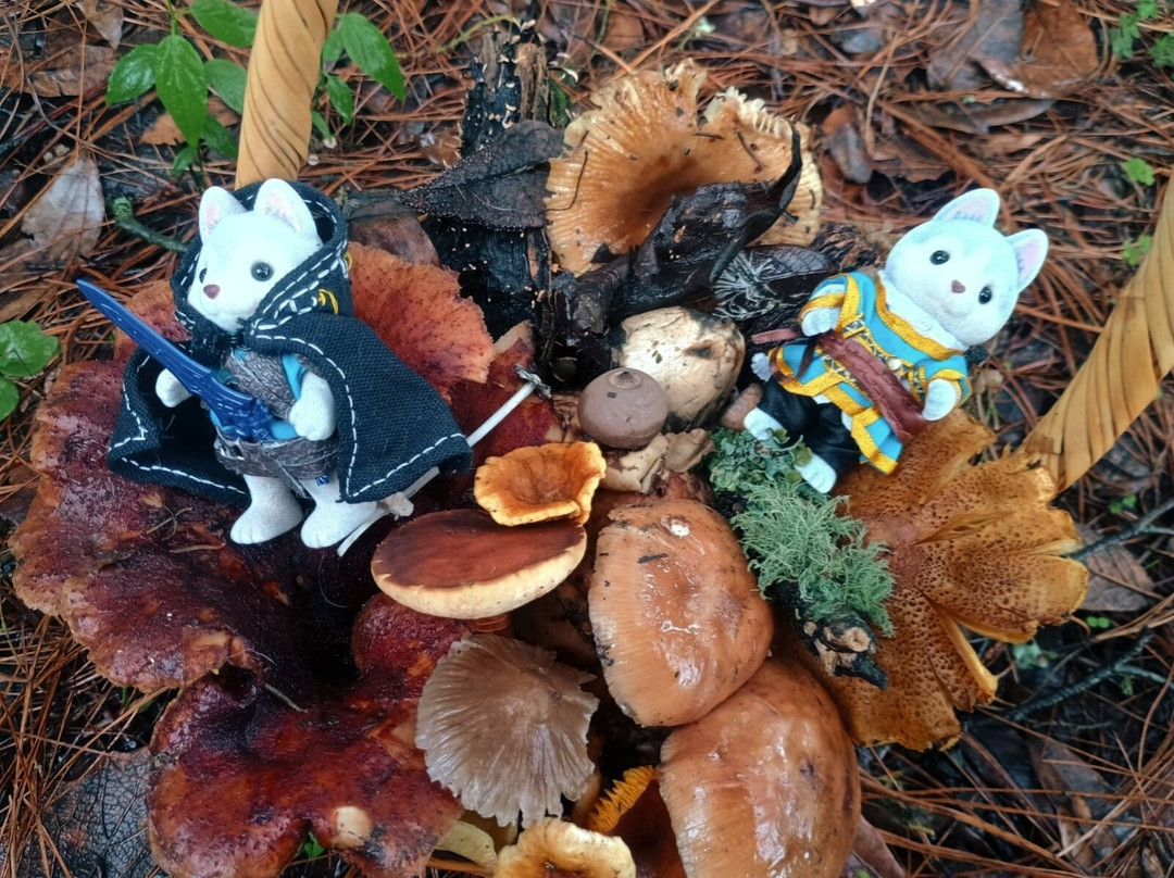 Funset Experience-Amecameca必去景点