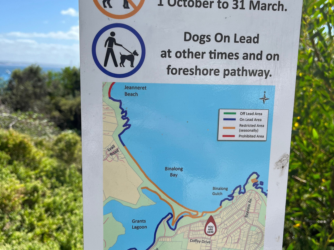 Bilalong Bay Beach-Binalong Bay必去景点