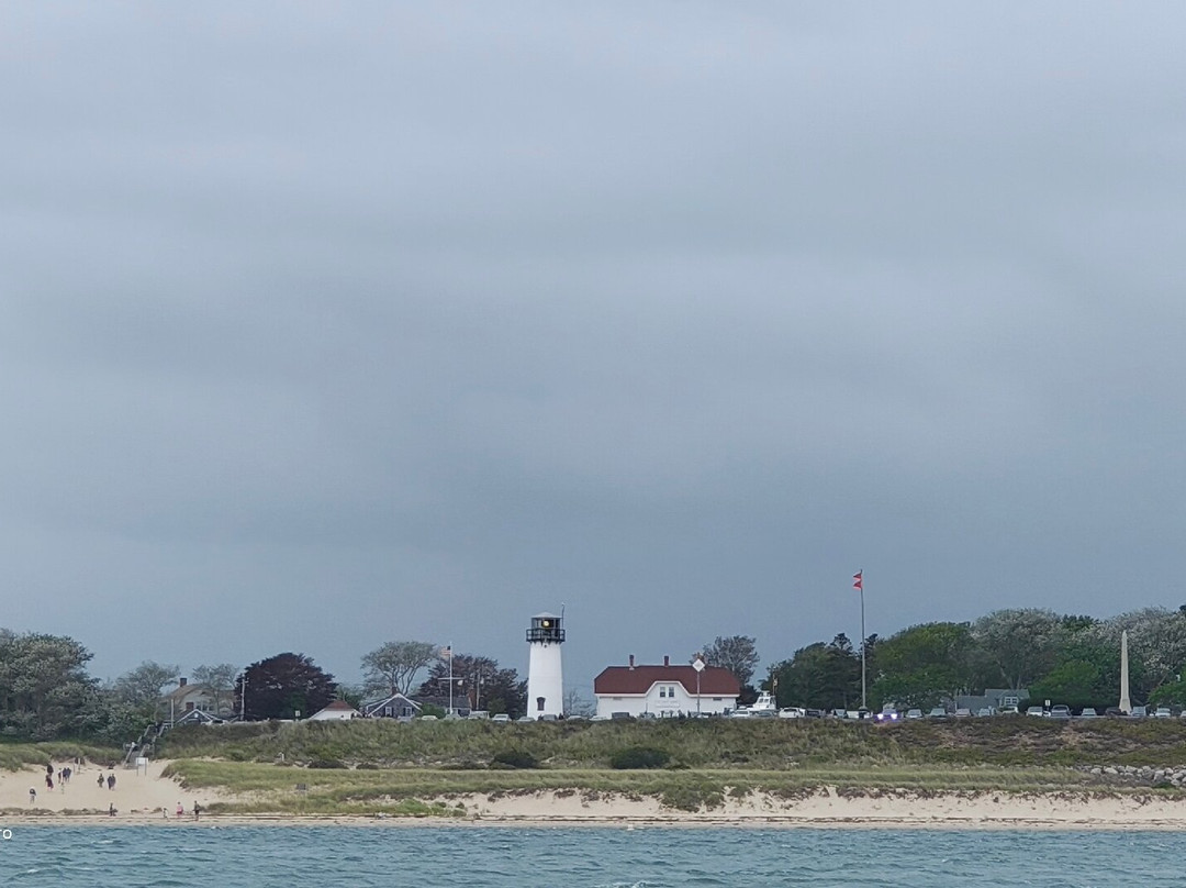 Beachcomber Tours-查塔姆必去景点