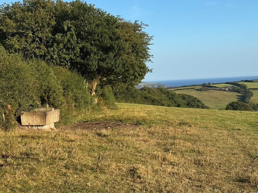Luxulyan Valley to Prideaux Circular Walk-St Blazey必去景点