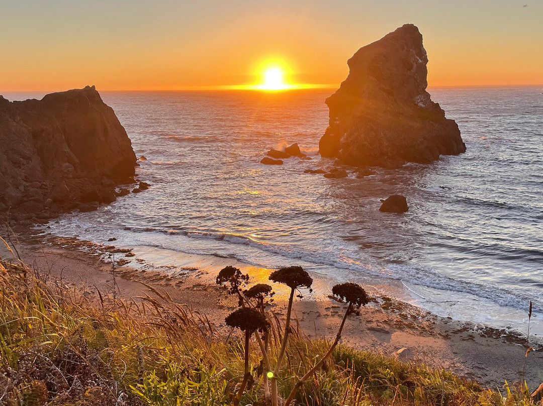 Otter Point State Recreation Site-戈尔德比奇必去景点