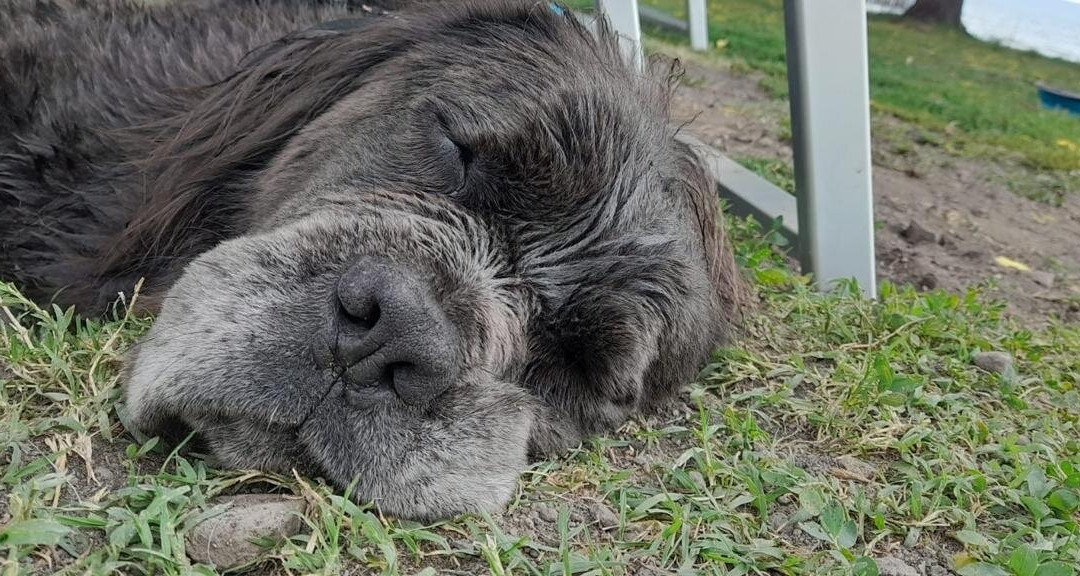 Riva Di Polline-Trevignano Romano必去景点