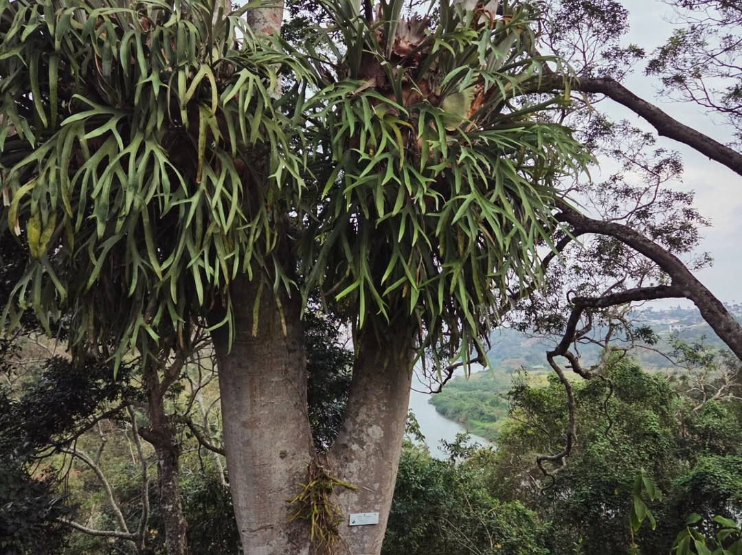 Royston Hall Guesthouse主图