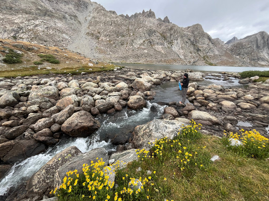 Wildland Llamas-杰克逊必去景点
