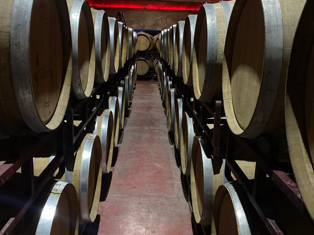 San Juanito-Tequisquiapan必去景点