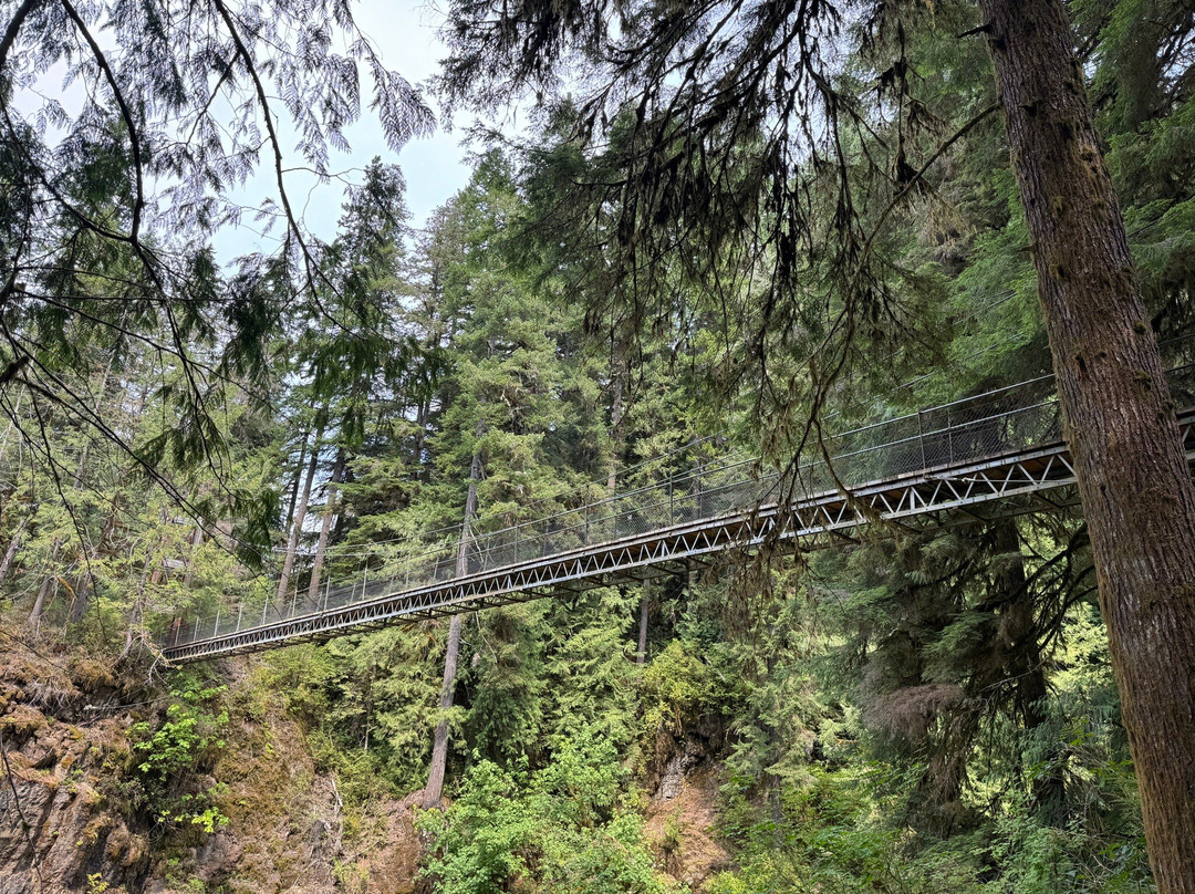 Drift Creek Falls Trail-Otis必去景点