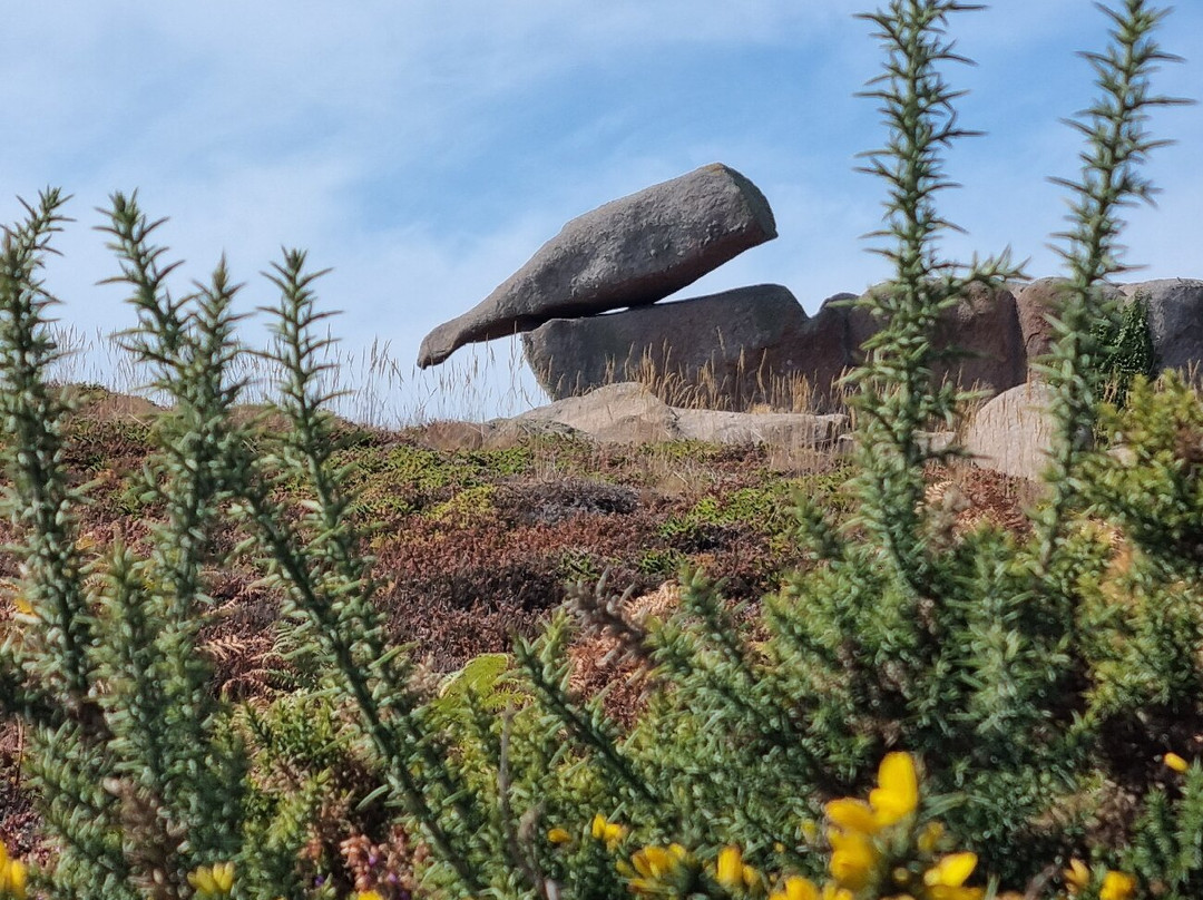 Cote de Granit Rose-拉尼翁必去景点