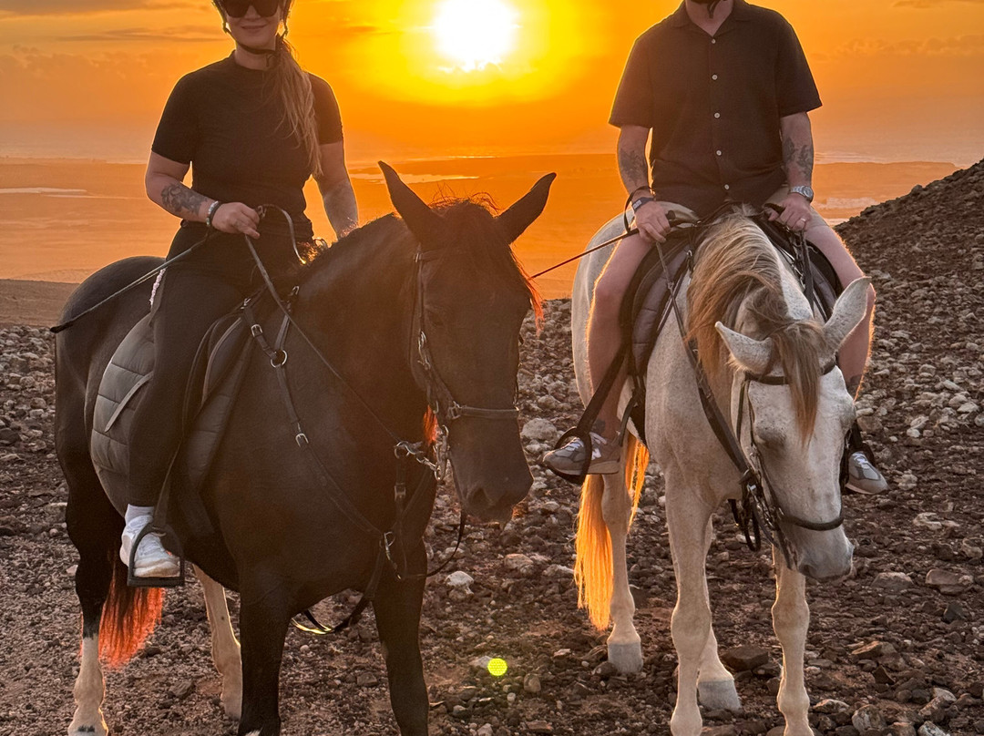Lanzarote a Caballo-兰萨罗特必去景点