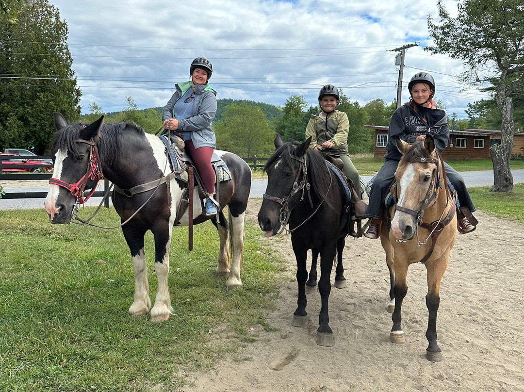Circle B Ranch-Chestertown必去景点