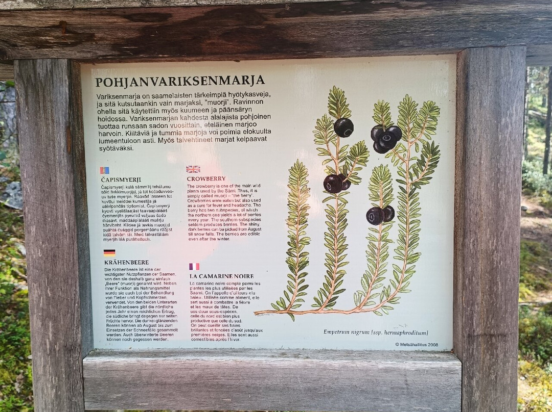 Karhunpesakivi-伊纳里必去景点