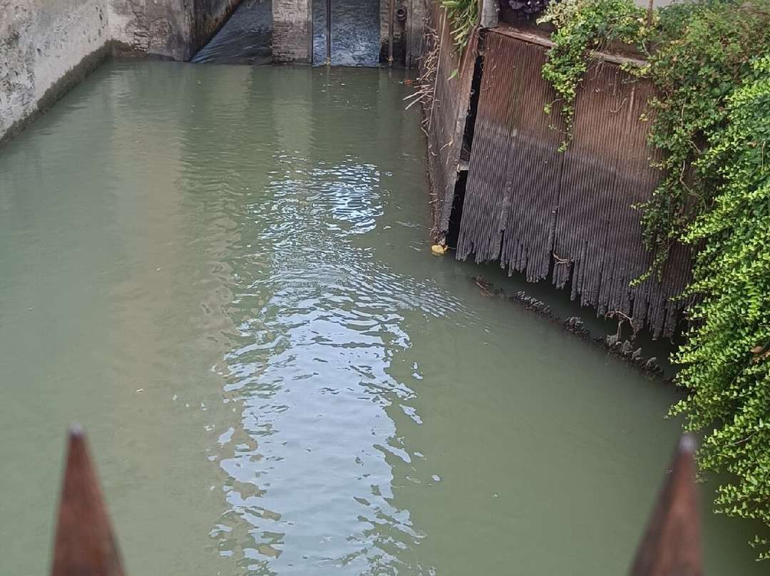 Palazzo de Rossi Hotel主图