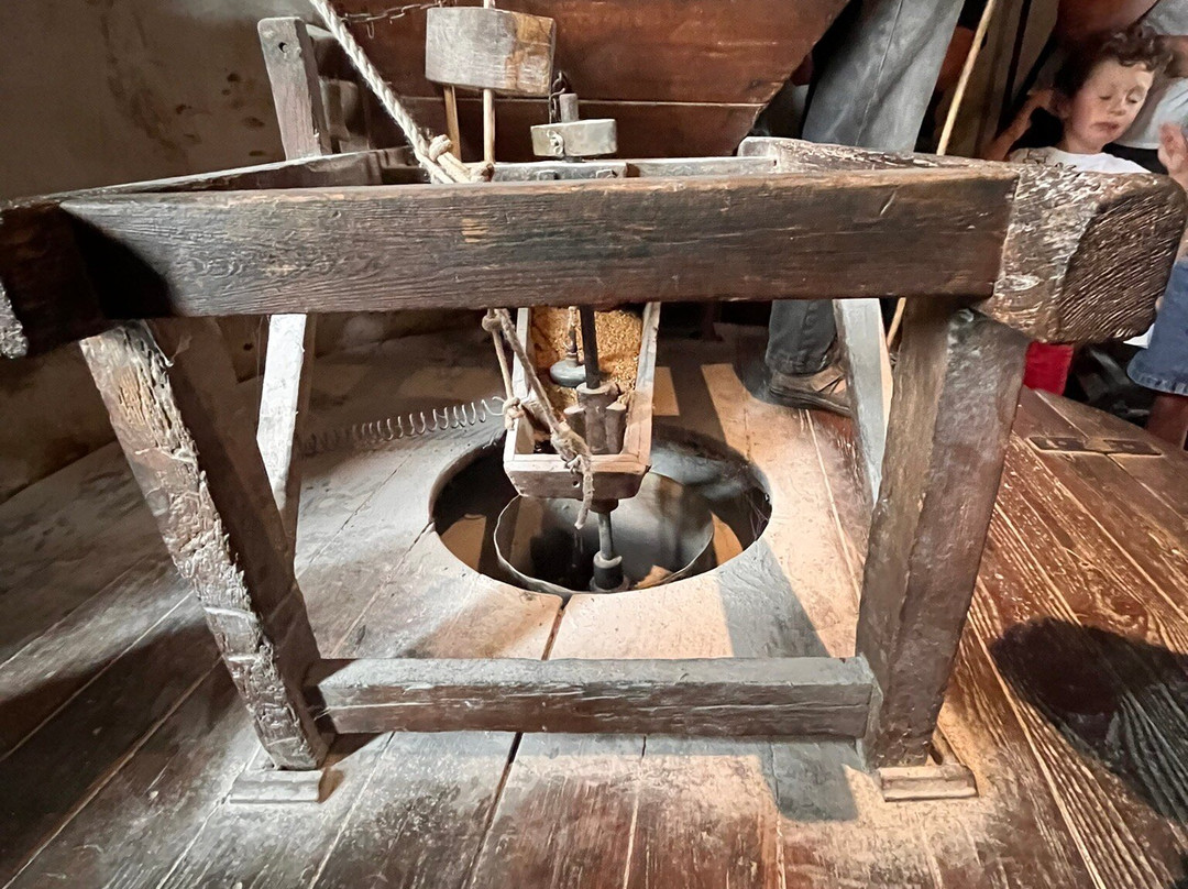 Le Moulin à Vent de Rairé-Sallertaine必去景点