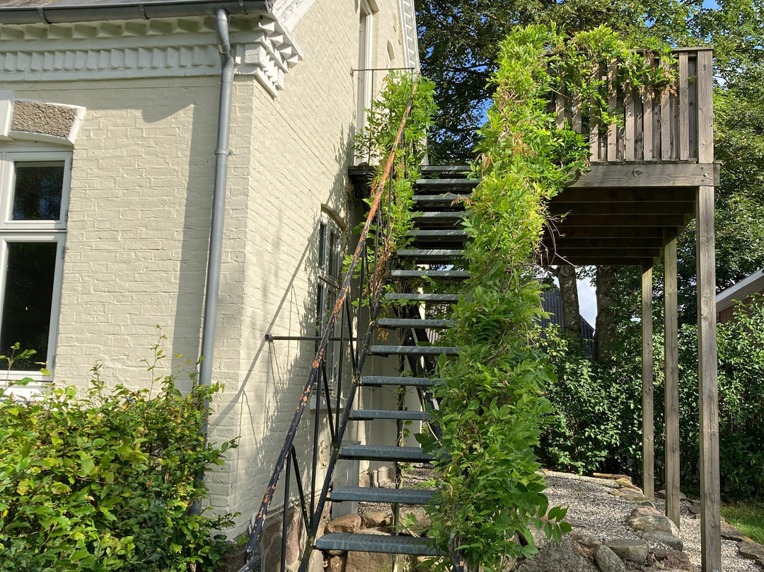 Ditlevsdal Bison Farm-Morud必去景点