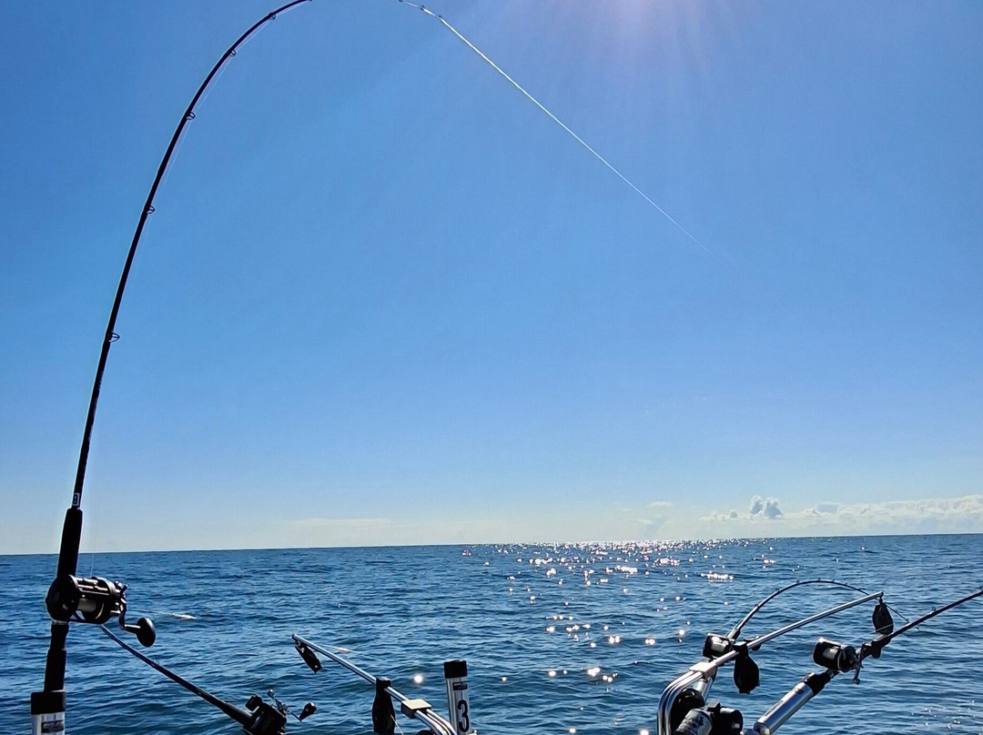 Fish Finder Charters-Carrying Place必去景点