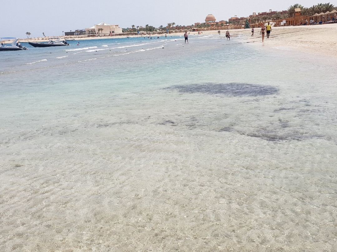 Abu Dabbab Beach-马萨阿拉姆必去景点