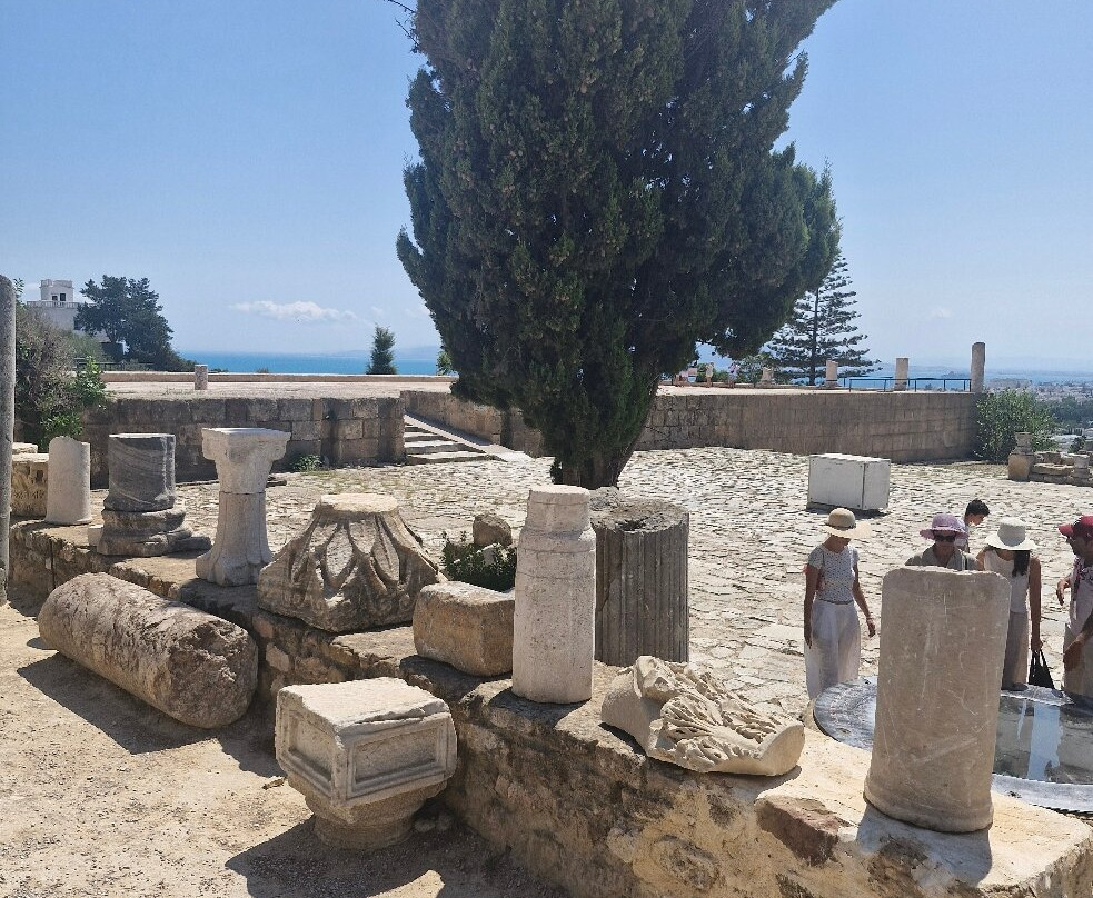 Saint Louis Cathedral-迦太基必去景点