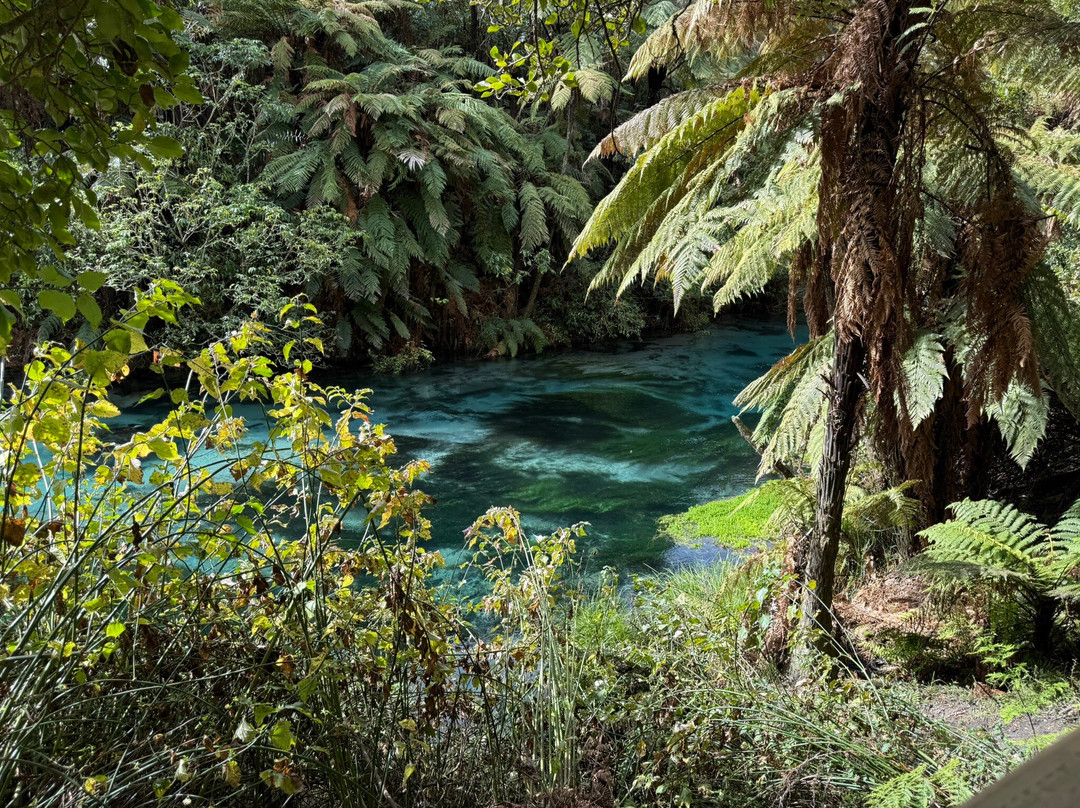 Blue Spring-普塔鲁鲁必去景点
