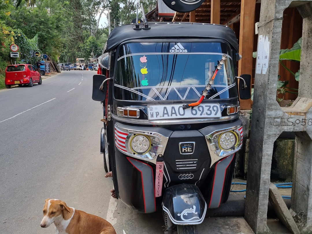 Amarina Holidays-阿努拉德普勒圣城必去景点