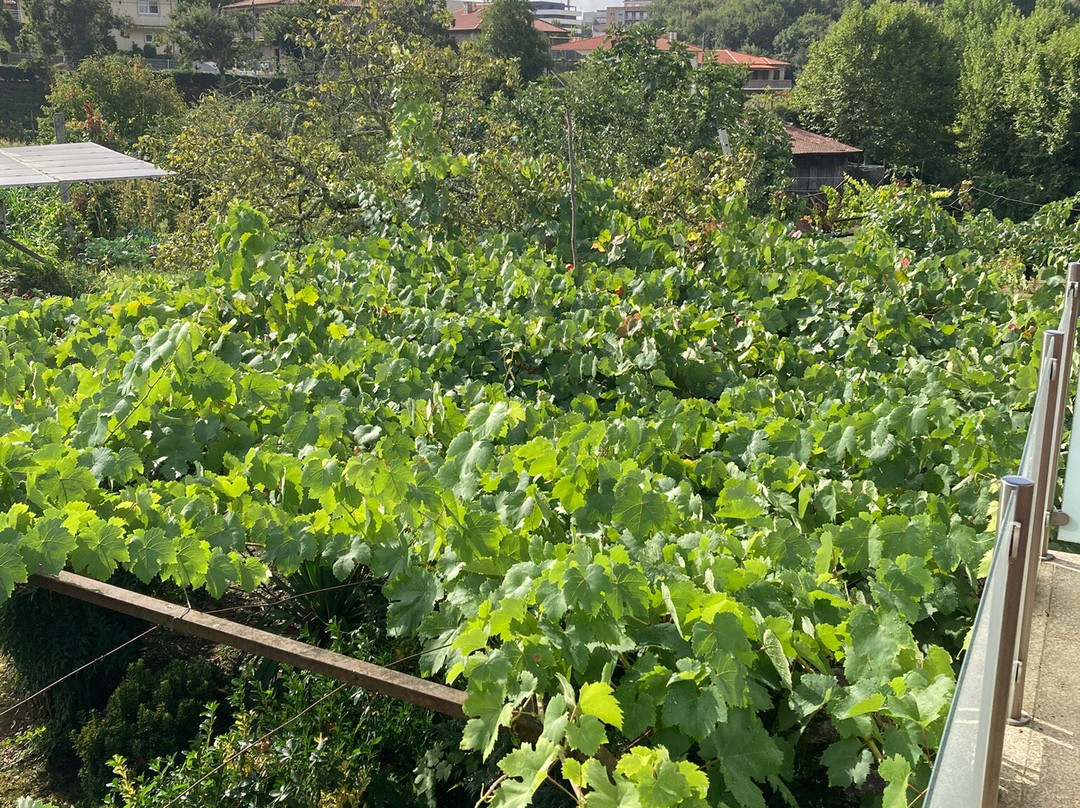 Quinta Travessa主图