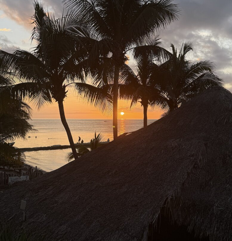 Beachfront Hotel La Palapa主图