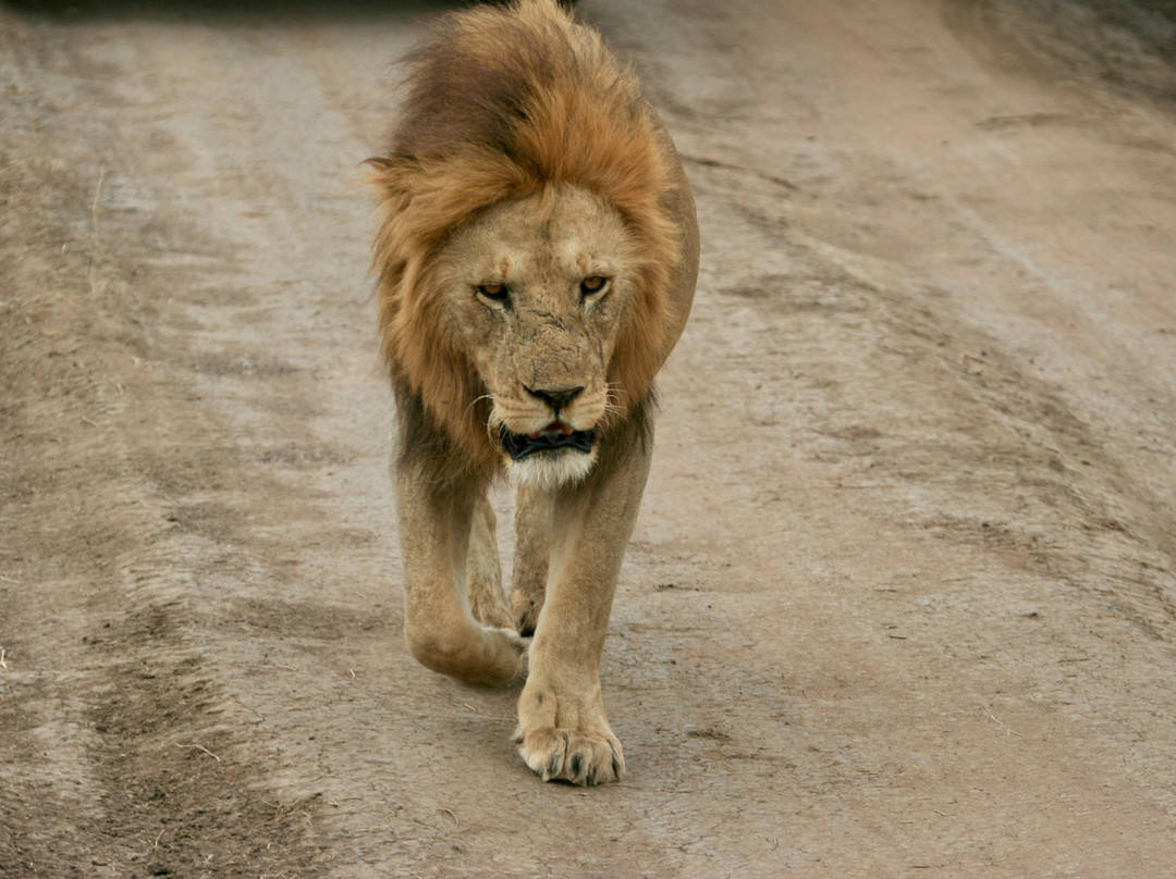 Mamnana Adventures-Olasiti必去景点