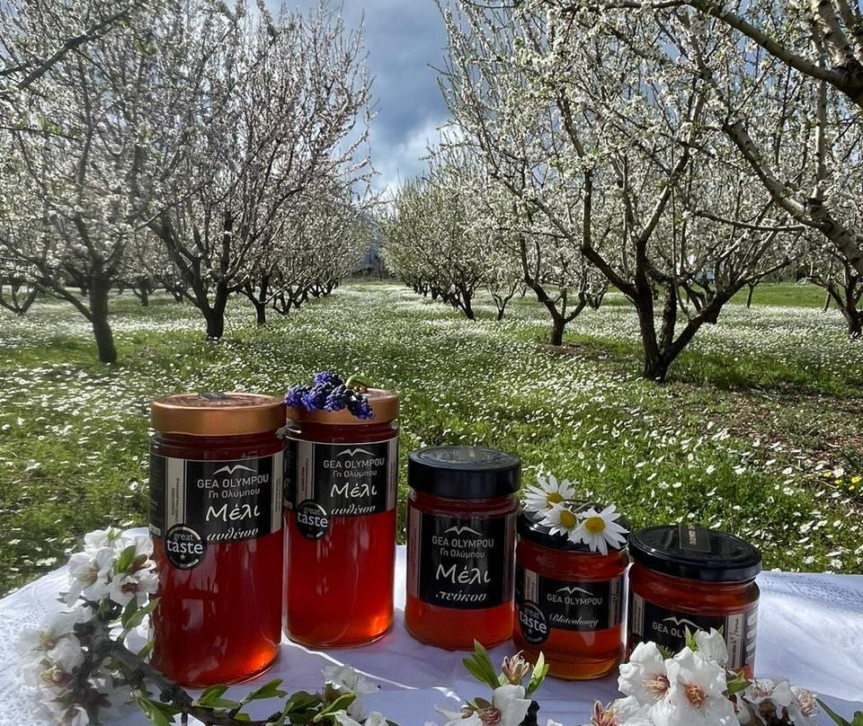 Gea Olympou-Plaka必去景点