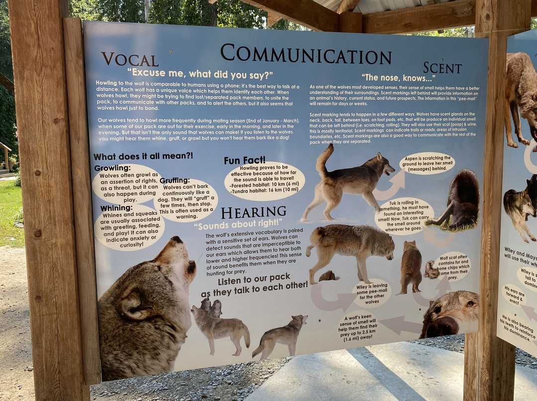 Northern Lights Wildlife Wolf Centre-戈尔登必去景点
