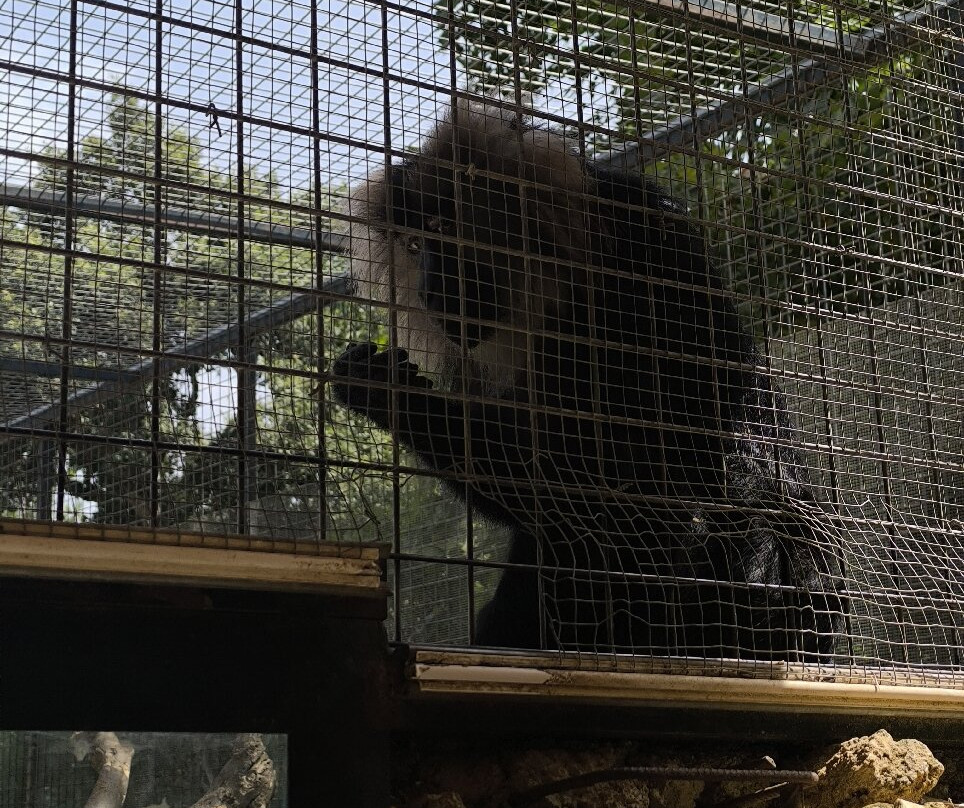 Zoo de Castellar-Castellar de la Frontera必去景点