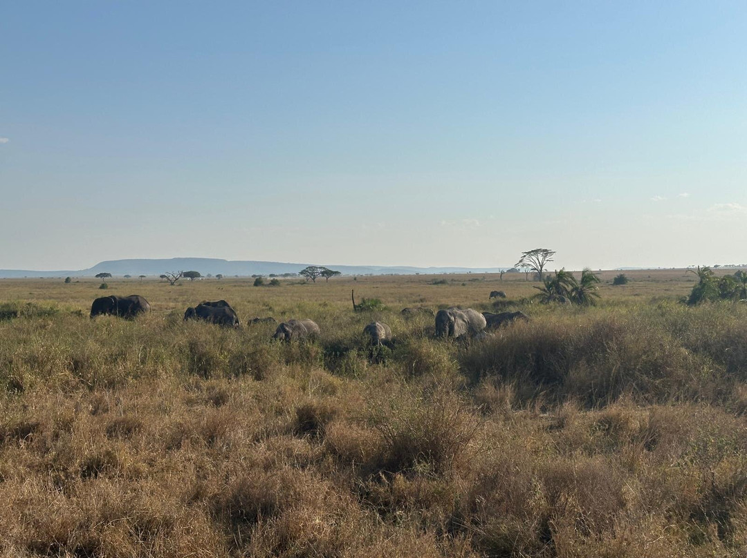 Lucas' African adventures-阿鲁沙必去景点